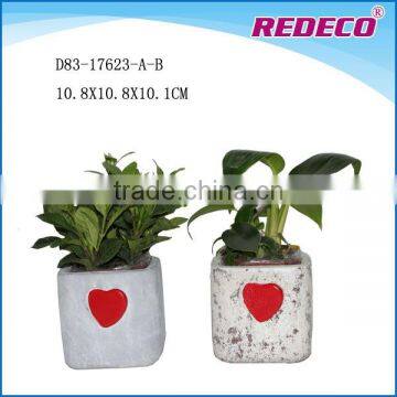 Wholesale square concrete succulent plants pots