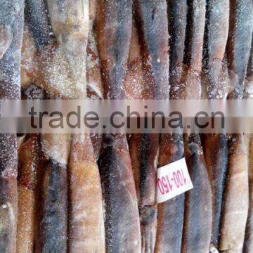 Frozen Illex Argentinus Squid photo-2