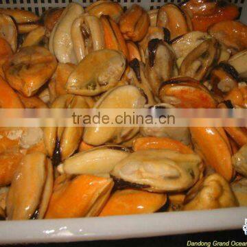 seafood frozen without shell blue mussel meat