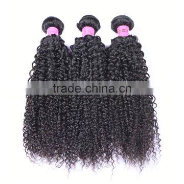 wholesale virgin hair vendors fast shipping Malaysian curly hair