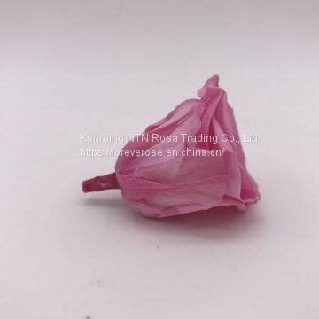 Wholesale3-4cm Elegant Real Touch Preserved Rose Flower photo-5