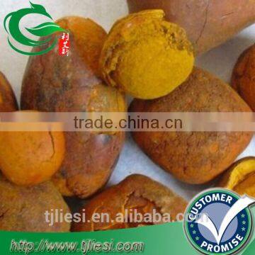 supply 2016 cattle ox cow gallstones bezoar with low price