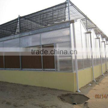 Commercial Flower Vegetable Polycarbonate Greenhouse