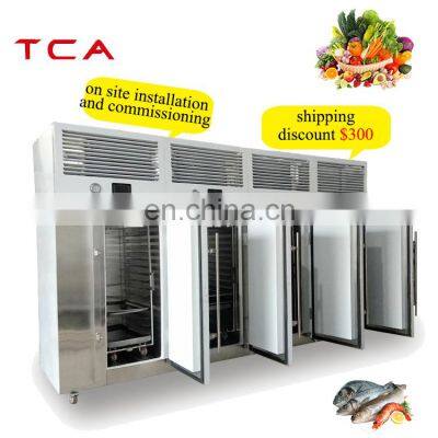 commercial chicken  blast freezer for meat fish small blast freezer