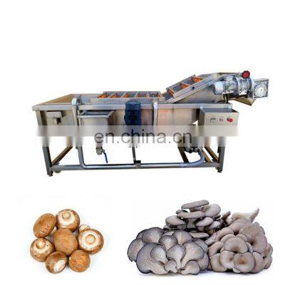 Mushroom Washer Calamansi Vegetable Cleaning Machine Bubble fruit vegetable washing machine