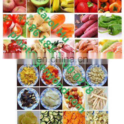 Small Vacuum Deep Fryer for Fruit and Vegetables photo-3