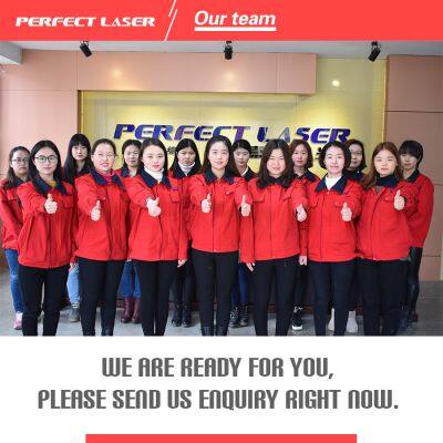 Perfect Laser High Quality Galvo Radio Frequency Tube CO2 Laser Marking Machine For Plastic Film/Switch photo-5