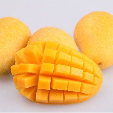 Mango Puree Processing Production Line
