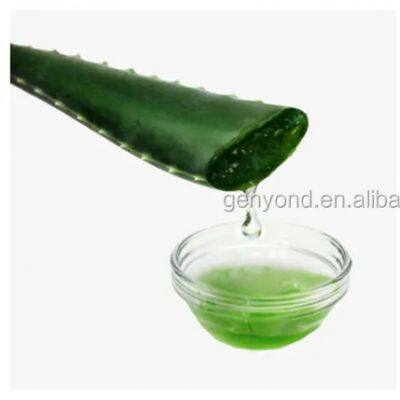 Commercial Aloe Vera Processing Machine / Aloe Peeler