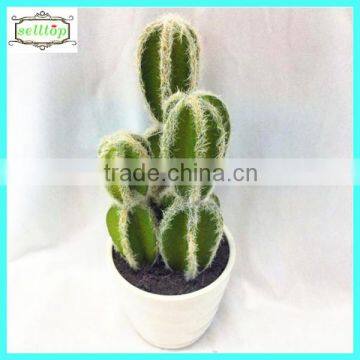 25cm high quality real touch names of cactus plants