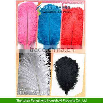 Ostrich Feather colorfull Wedding Craft Decoration Beautiful