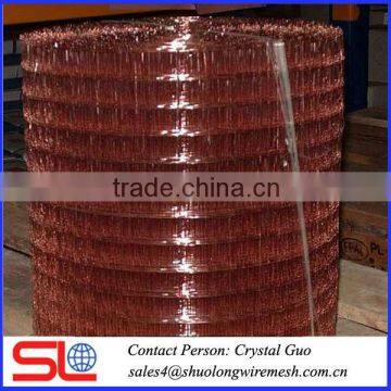 Weave Brass Wire Mesh/Copper Wire Mesh (Factory Price )