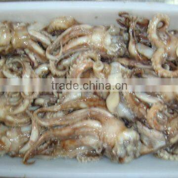 Squid Tentacles Price