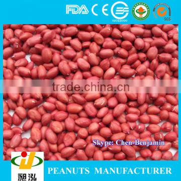 Ju nan High quality blanched peanuts 2014 hot sale