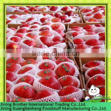 100-125pcs huaniu apple