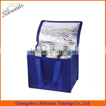 Lunch Cooler Bag for Food and Beer