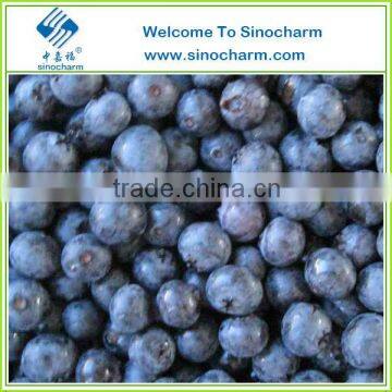 Hot Sale Bulk Frozen Blueberry Fruit