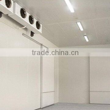 Customized professional foods cold room