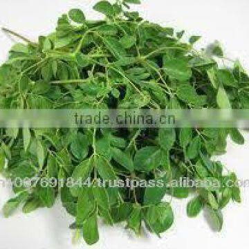 Moringa Leaf Powder