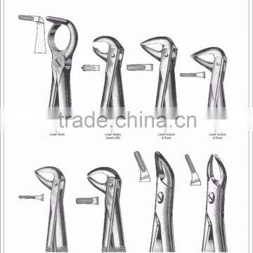 Dental Extraction Forceps English Pattern Stainless Steel 20042