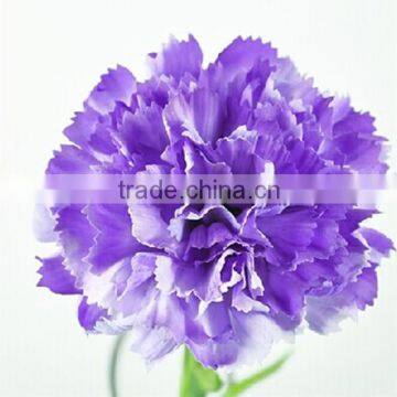 decorative flower cheap artificial carnation flower real touch purple carnations