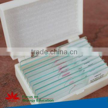 50pcs Human and Animal Parasitology Slides Set photo-5