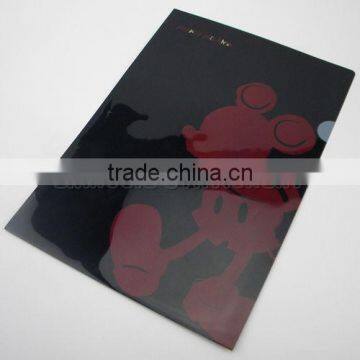 Colorful PPl file folder/E310