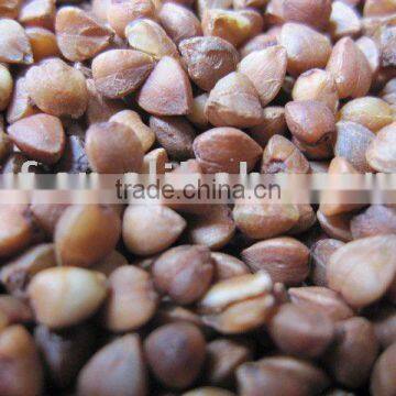 Chinese Buckwheat Kernel ,husks photo-4