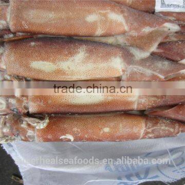 Frozen Illex Squid150-200g