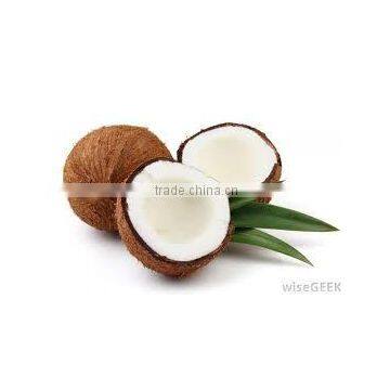 Fresh Coconuts for Cheap Rate photo-5