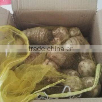 uk fresh taro specification