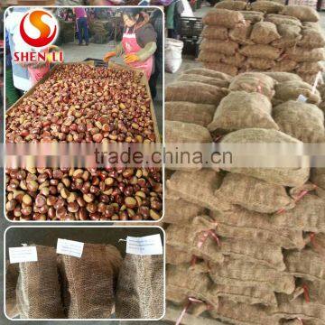 Big Size 2016 New Crop Fresh Dandong Chestnut for Advance Sale photo-6