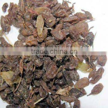 INDIAN DRY INDUSTRIAL RAISIN FOR SELL photo-3