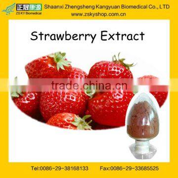 Strawberry Extract Powder from GMP Certified Manufacturer