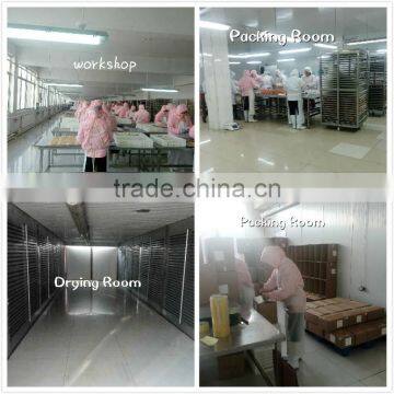 Different Items Wet Pet Food in 5 Flavors Direct Factory photo-3