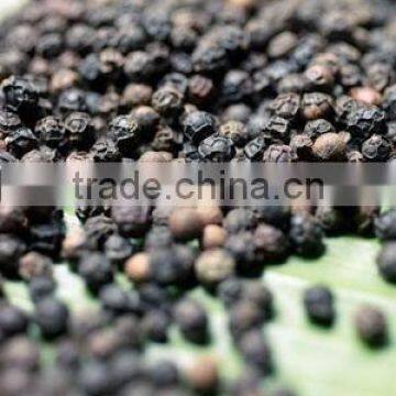 Black Pepper