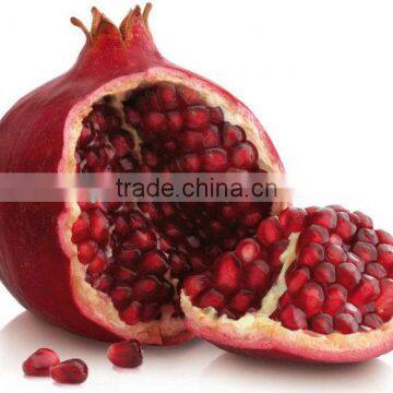 High Quality Pomegranate Extract Powder