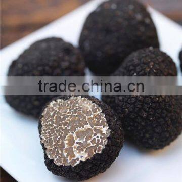 High Quality Wild Black Truffle 100% Wild Truffle for Sale photo-3