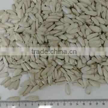 Sell 2016 white sunflower seeds