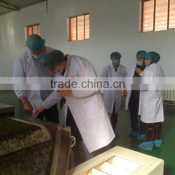 Pumpkin Seeds Kernels Grown Without Shell A photo-6