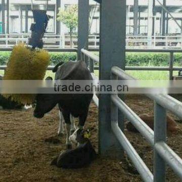 Dairy farm machinery cattle brush Automatic bath body brush (Type-002)