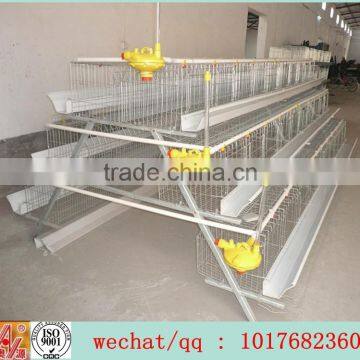 High quality cheap poultry cage layer chicken cage for sale