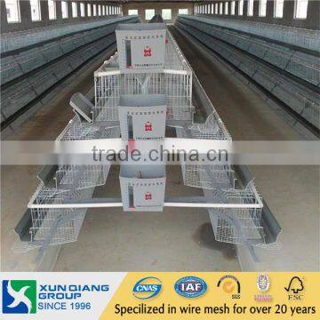 Professional Galvanized automatic egg chicken layer cage for poultry farm