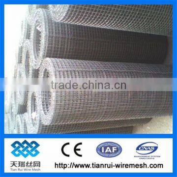 heavy crimped wire mesh/ galvanized crimped wire mesh screen