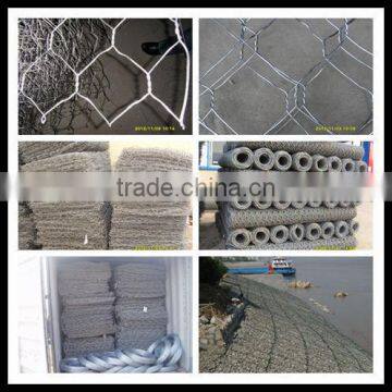 good !chicken wire mesh/hexagonal wire netting