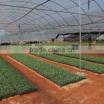 Low Cost Pad and Fan Cooling System Greenhouse Accessories photo-2