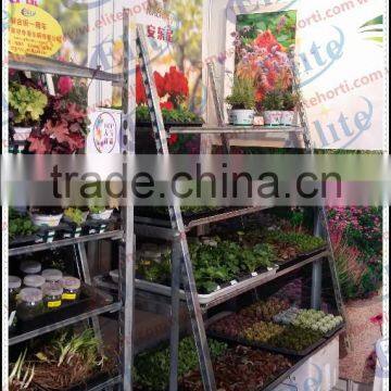 Display Flower Pot Shelf Rack With Caster photo-4