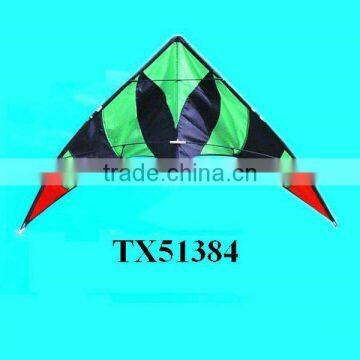 Sport China Airplane Power Kite Surf photo-5