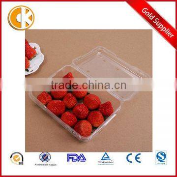 Rectangular Transparent 250g Fruit Storage Box Sealed Plastic Fresh Fruit Container With Lid photo-1