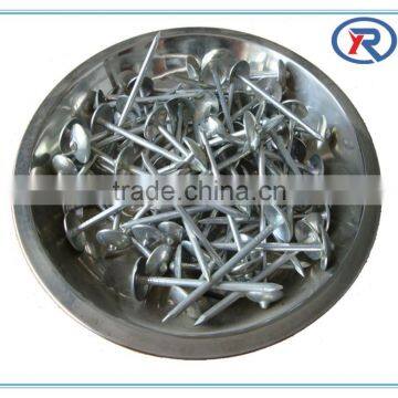 China Roofing Nail With Washer/Umbrella Roofing Nails photo-4